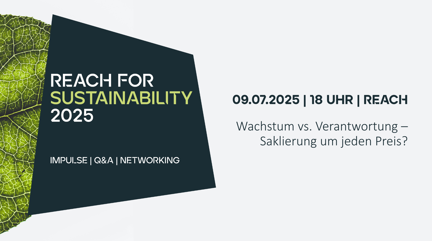 REACH for Sustainability: Wachstum vs. Verantwortung - Skalierung um jeden Preis?