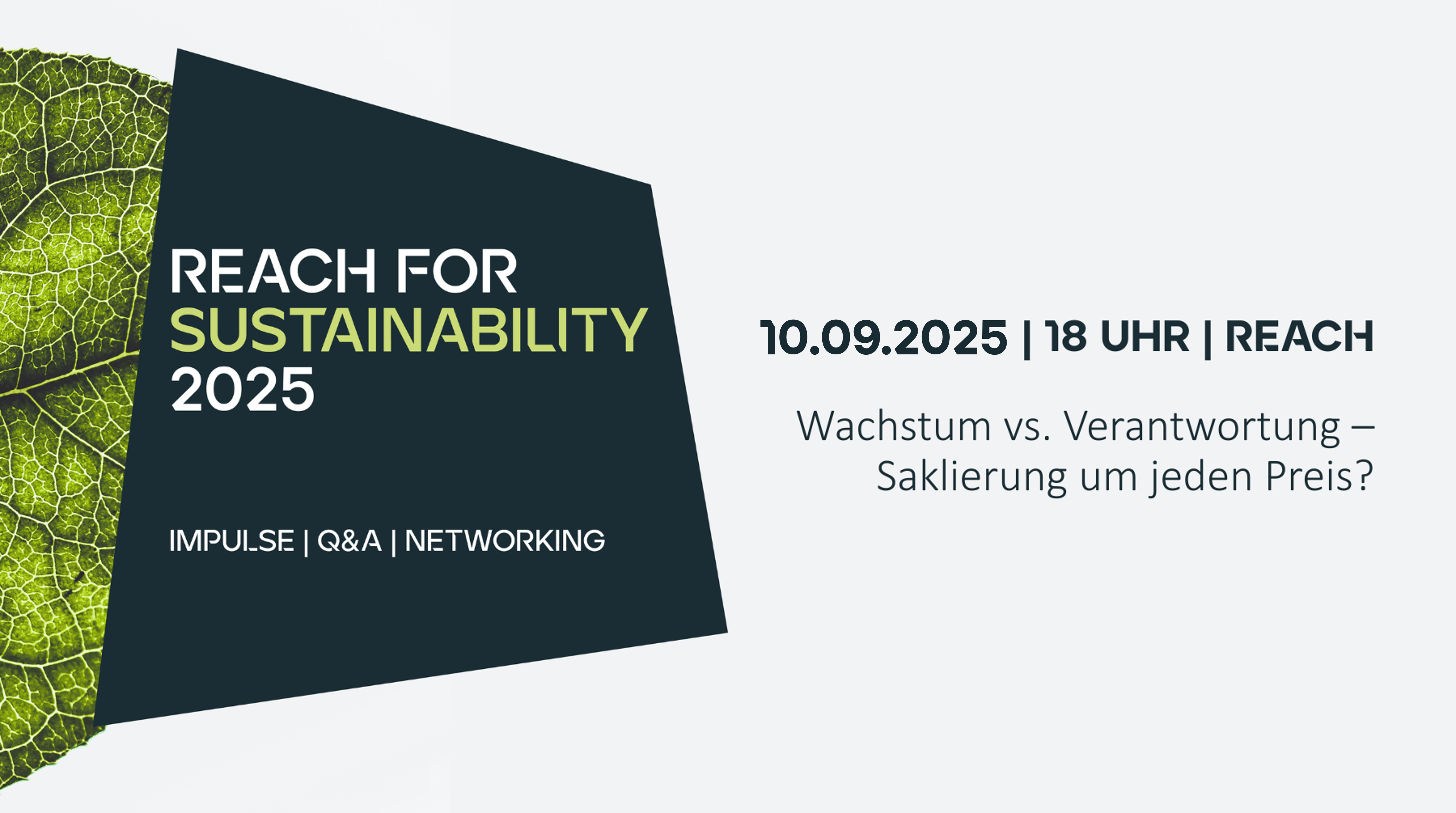 REACH for Sustainability: Wachstum vs. Verantwortung - Skalierung um jeden Preis?